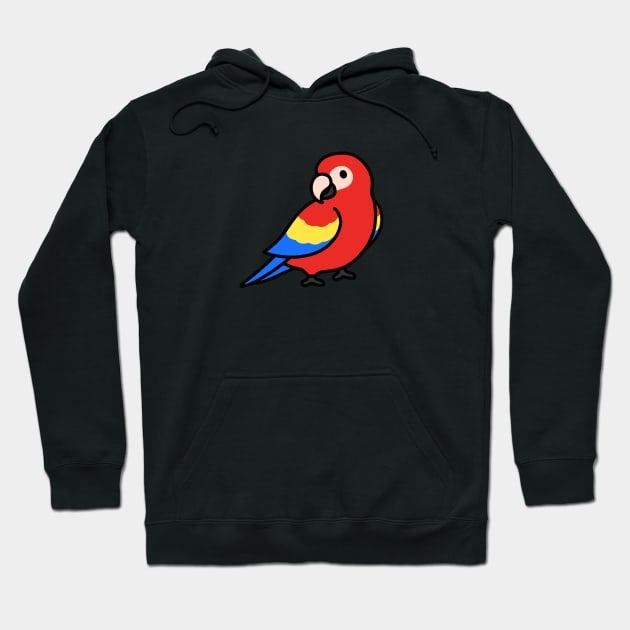 Parrot Hoodie by littlemandyart